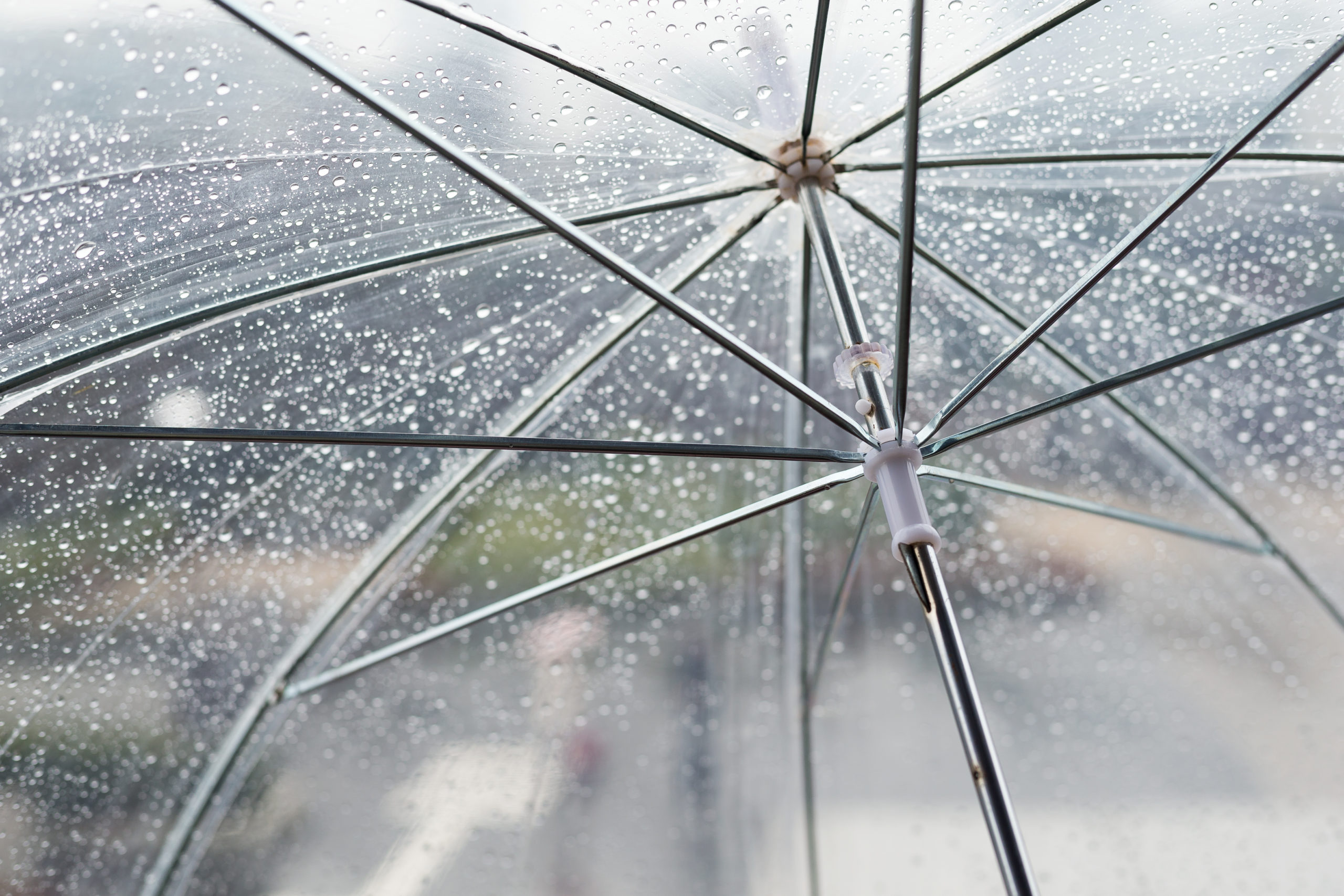 transparenz beim Investieren Summit Invest